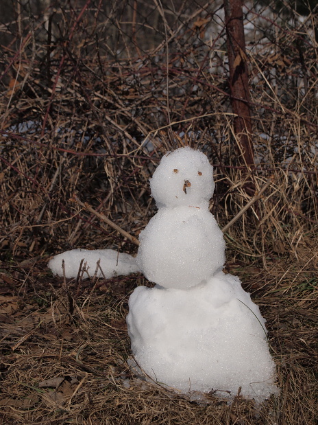 Biely snehuliak :)