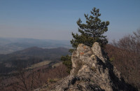 Havrania skala (835 mn.m.), hrebeň 