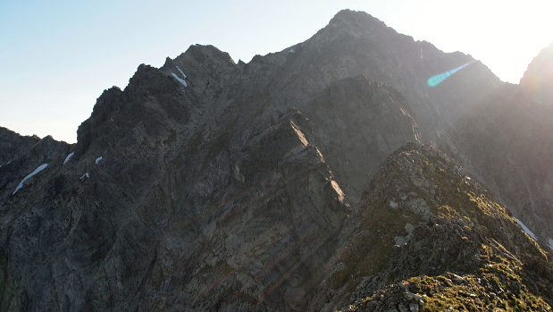 Javoráky