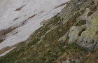 zostup